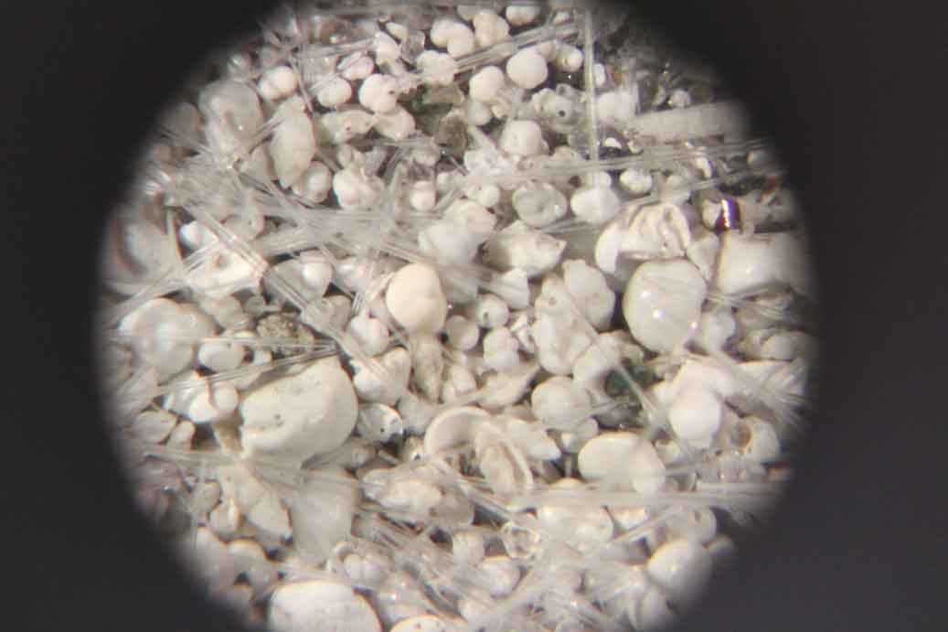 MUC_sievedsamplethroughmicroscope_LenaHeins